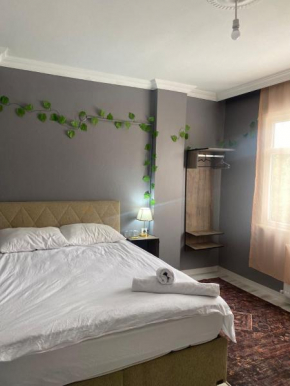 Airport Forest Room